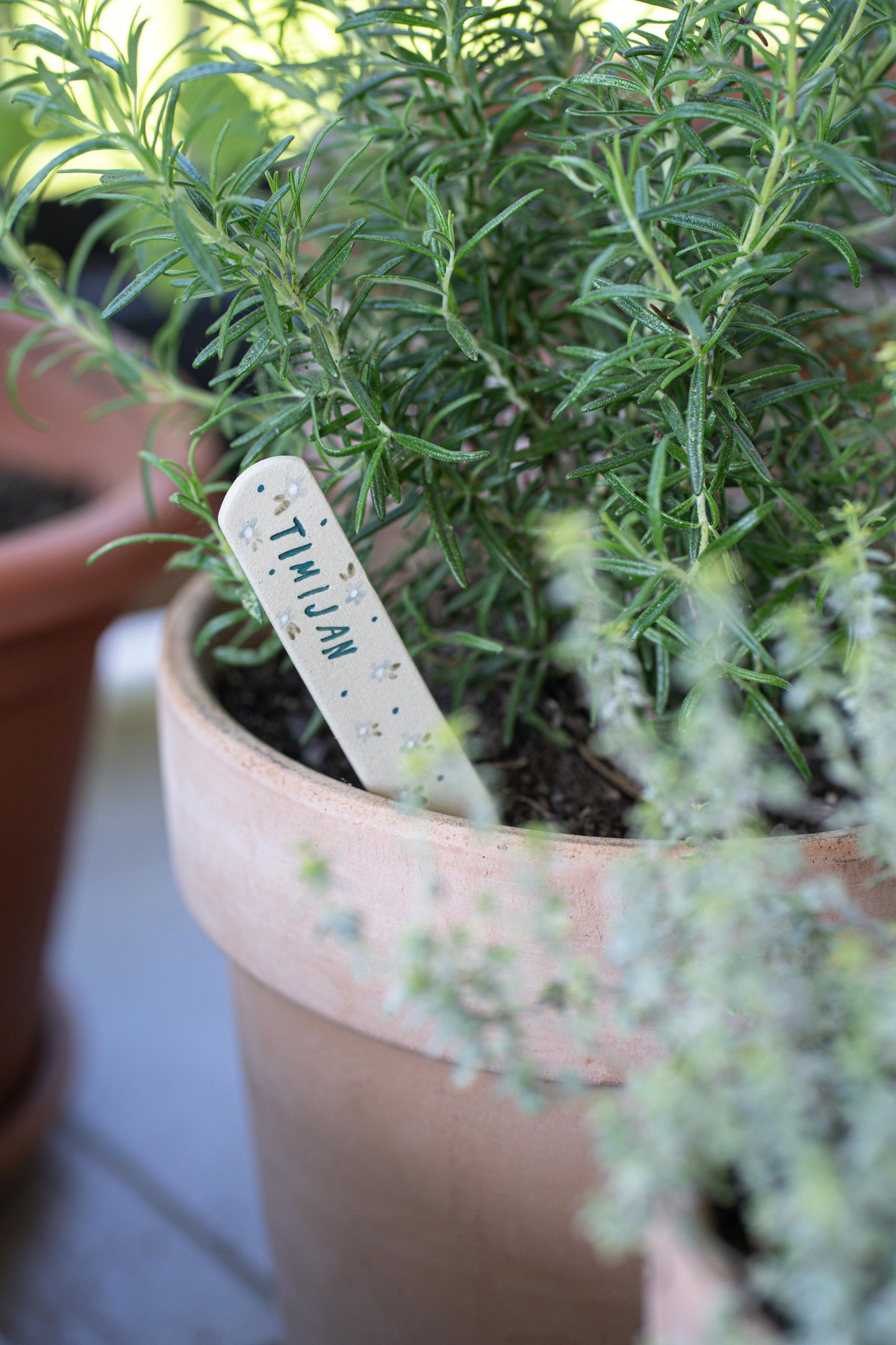 Oznaka za zelišča - žajbelj